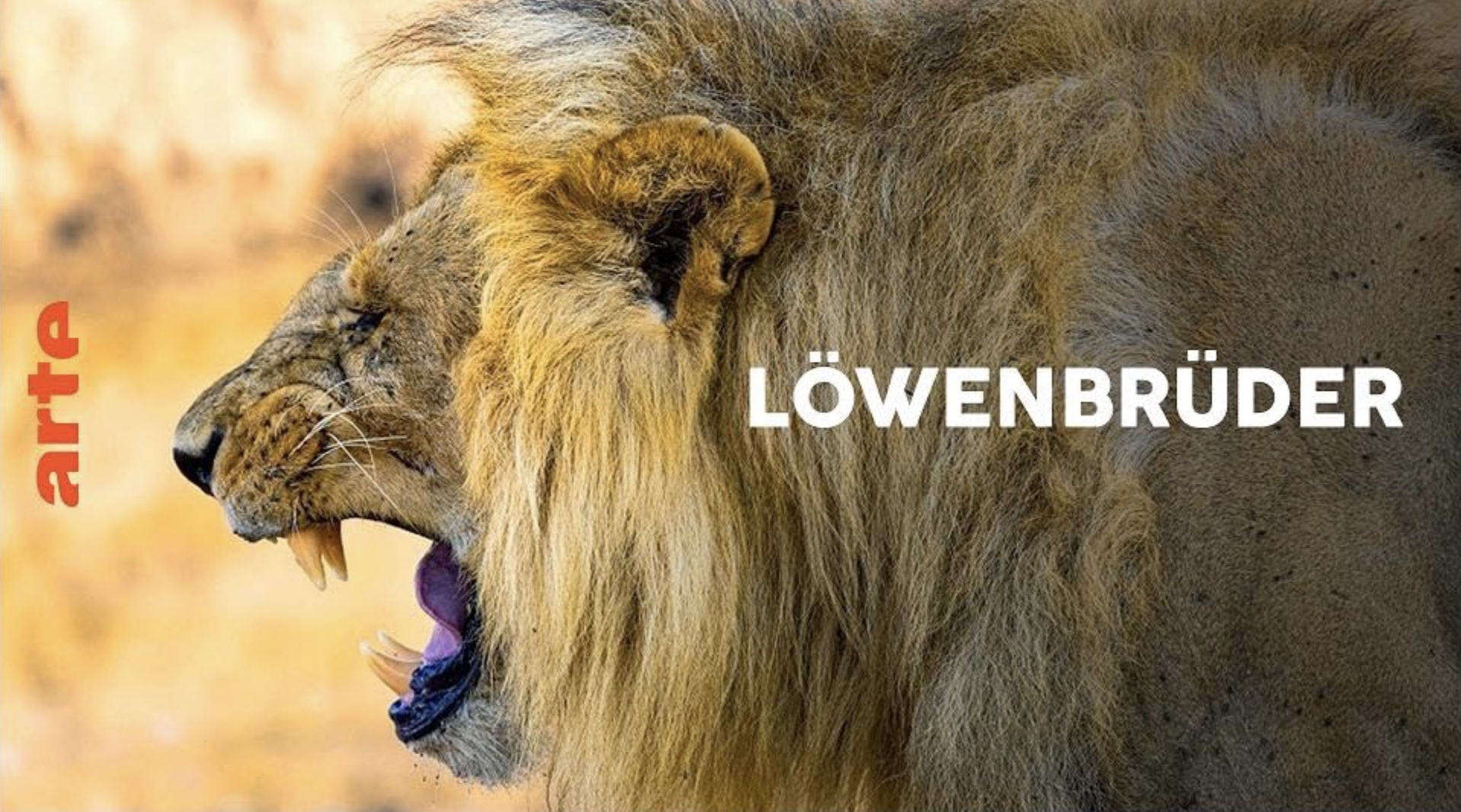 Löwenbrüder