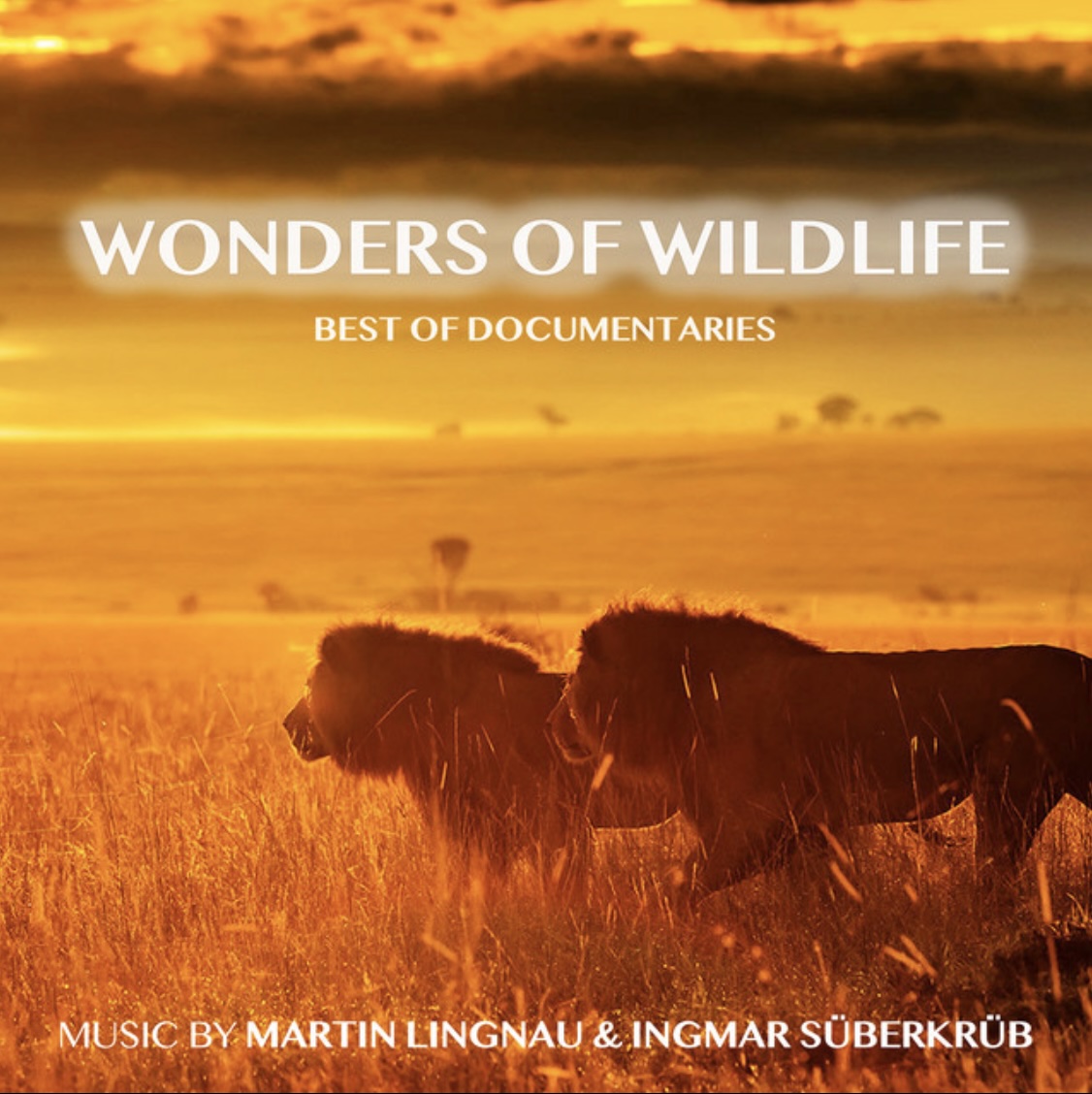Wonders of Wildlife